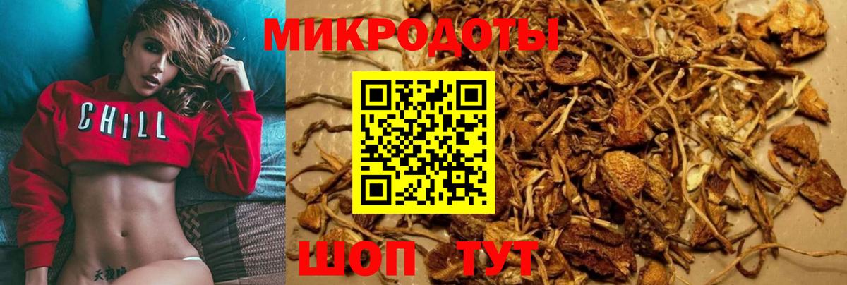 Галлюциногенные грибы MAGIC MUSHROOMS  Вход с VPN  Сегежа  где купить   Псилоцибиновые грибы мухоморы 