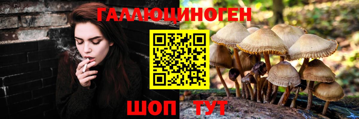 Псилоцибиновые грибы MAGIC MUSHROOMS Сегежа